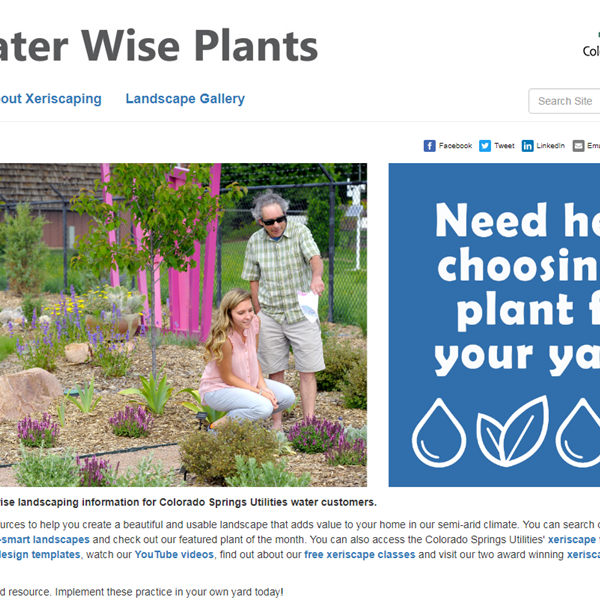 Water Wise Plants