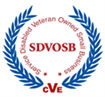 SDVOSB service disabled veteran owned small business